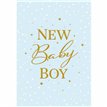 C50 BABY BOY MALE PZAZZLE 6S
