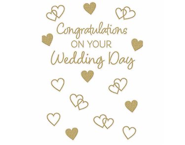 C50 WEDDING DAY GENERIC PZAZZLE 6S