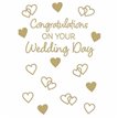 C50 WEDDING DAY GENERIC PZAZZLE 6S