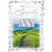C50 TRAD SYMPATHY SILVERLINE 12S