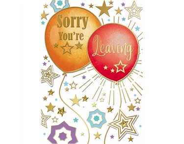 C50 SORRY YOU'RE LEAVING SILVERLINE 12S
