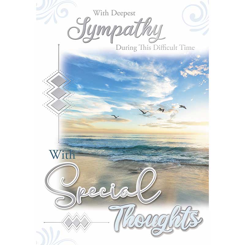 C50 SYMPATHY SILVERLINE 12S