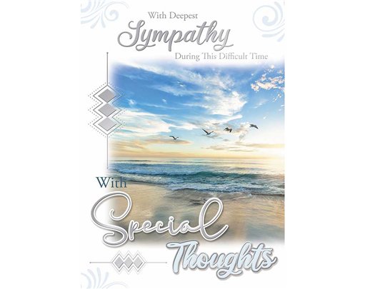 C50 SYMPATHY SILVERLINE 12S