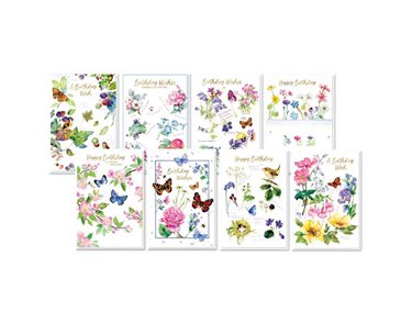 C50 NATURES ART BLANK SIMON ELVIN ASSORTMENT 6S