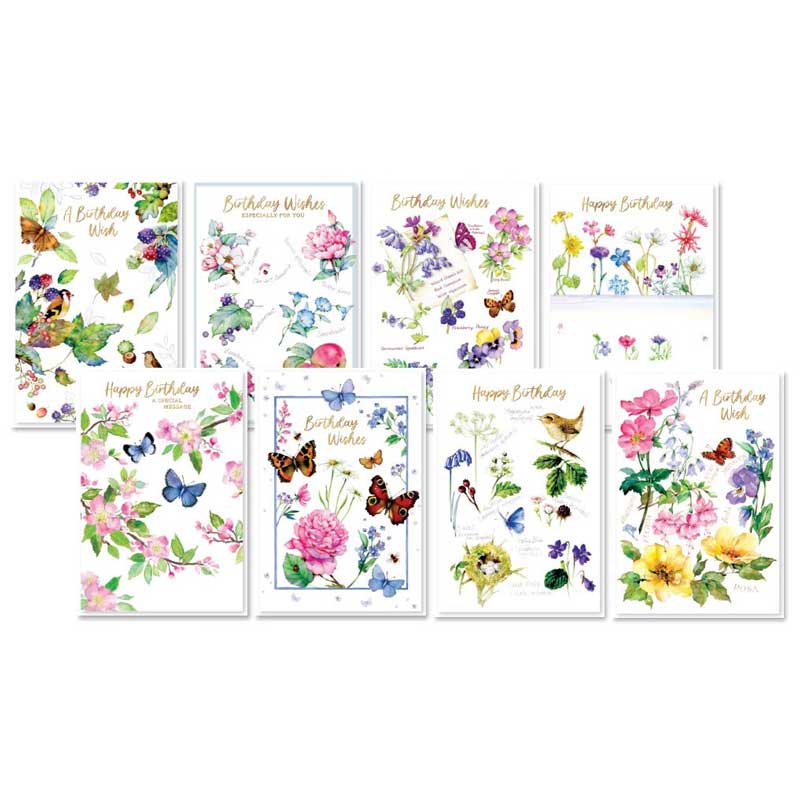 C50 NATURES ART BLANK SIMON ELVIN ASSORTMENT 6S