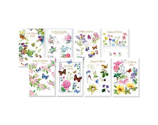 C50 NATURES ART BLANK SIMON ELVIN ASSORTMENT 6S