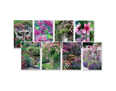 C50 IN THE GARDEN-BIRTHDAY SIMON ELVIN ASSORTMENT 6S