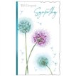 C72 SYMPATHY OOTB 6S