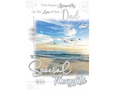 C50 LOSS OF DAD SILVERLINE 12S