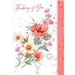 C50 FEMALE TRADITIONAL THINKING OF YOU OOTB 6S