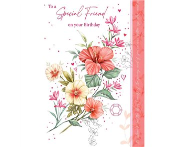 C50 FEMALE TRADITIONAL SPECIAL FRIEND OOTB 6S
