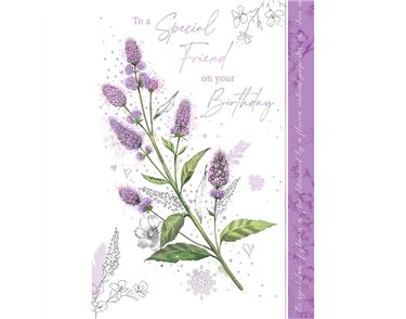 C50 FEMALE TRADITIONAL SPECIAL FRIEND OOTB 6S