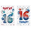 C50 MALE JUVENILE AGE 16 POPPY HILL 12S