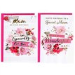 C50 FEMALE TRADITIONAL MUM POPPY HILL 12S