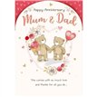 C75 MUM & DAD ANNIVERSARY DELIGHT EVERYDAY 6S