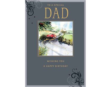 C75 DAD BIRTHDAY HARMONY EVERYDAY 6S