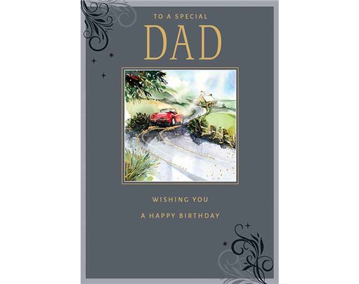 C75 DAD BIRTHDAY HARMONY EVERYDAY 6S