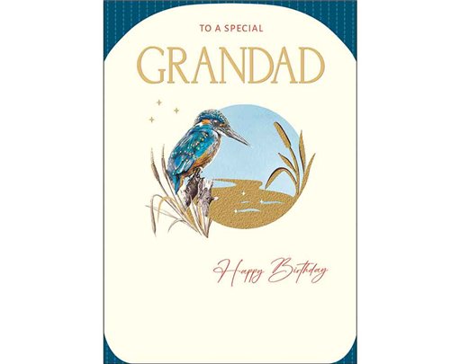 C75 GRANDAD BIRTHDAY HARMONY EVERYDAY 6S