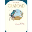 C75 GRANDAD BIRTHDAY HARMONY EVERYDAY 6S