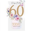 C75 AGE 60 FEMALE HARMONY EVERYDAY 6S