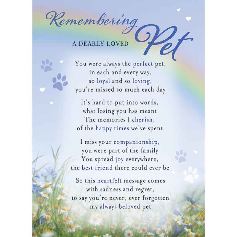C35 PET MEMORIAL CARD 6S