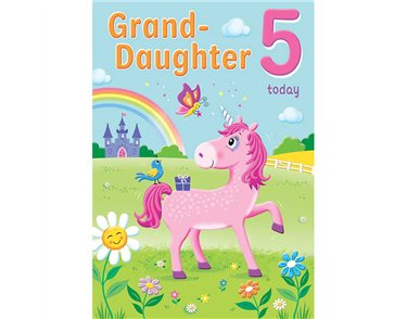 C75 AGE 5 GRANDDAUGHTER HAPPY PLANET 6S