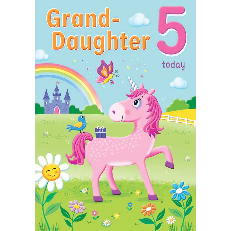 C75 AGE 5 GRANDDAUGHTER HAPPY PLANET 6S