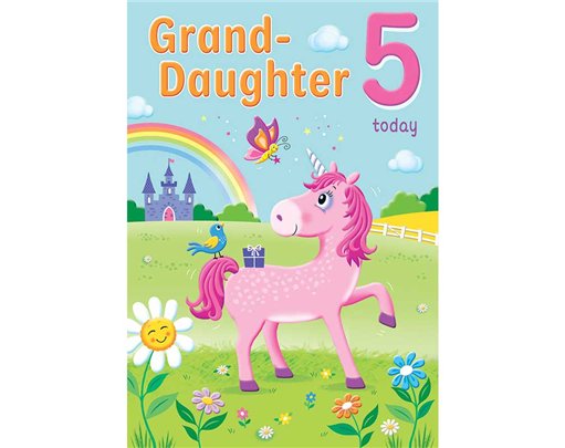 C75 AGE 5 GRANDDAUGHTER HAPPY PLANET 6S