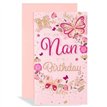 C125H NAN BIRTHDAY EXCELLENCE 6S