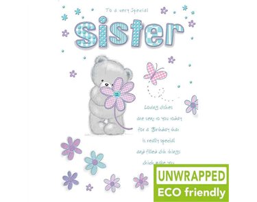 C75 BEAR HOLDING FLOWERS SISTER BIRTHDAY PICCADILLY 6S