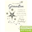 C75 BLUE STAR AND TEXT GRANDSON BIRTHDAY PICCADILLY 6S