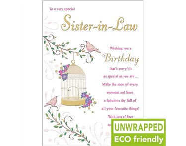 C75 BIRDCAGE HANGING SISTER IN LAW BIRTHDAY PICCADILLY 6S