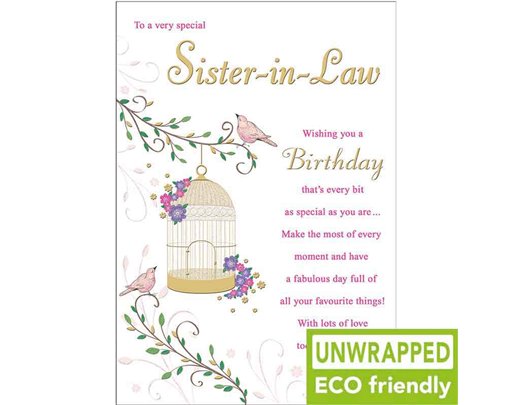 C75 BIRDCAGE HANGING SISTER IN LAW BIRTHDAY PICCADILLY 6S