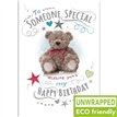 C75 TEDDY BEAR SOMEONE SPECIALBIRTHDAY PICCADILLY 6S