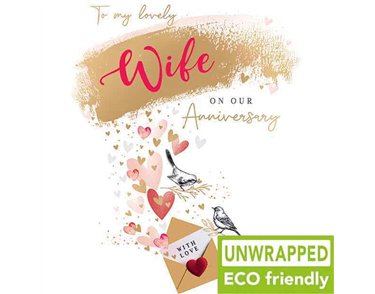 C50 ENVELOPE WIFE ANNIVERSARY ELITE 6S