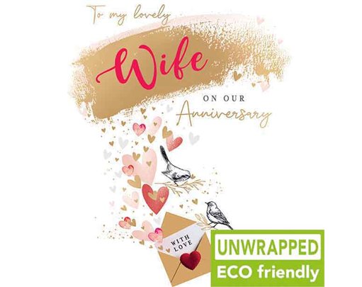 C50 ENVELOPE WIFE ANNIVERSARY ELITE 6S