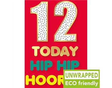 C50 HIP HIP AGE 12 BIRTHDAY FIESTA 6S