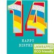 C50 TEAL AGE 14 BIRTHDAY FIESTA 6S