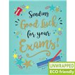 C50 PENCIL AND RULER GOOD LUCK EXAM GOLD DUST 6S