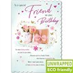 C75 PRESENTS & ROSES FRIEND BIRTHDAY WITH LOVE 6S