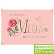 C75 CORAL FLORAL MUM BIRTHDAY PICCADILLY 6S