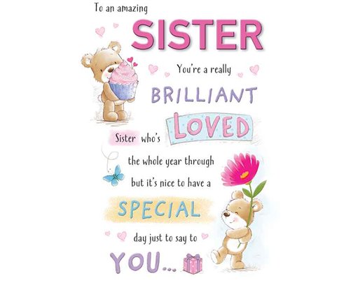 C75 BEAR WITH CUPCAKE SISTER BIRTHDAY HAPPY HUGS 6S
