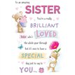 C75 BEAR WITH CUPCAKE SISTER BIRTHDAY HAPPY HUGS 6S