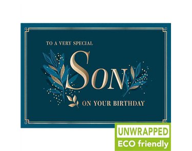 C75 NAVY LEAF SON BIRTHDAY PICCADILLY 6S