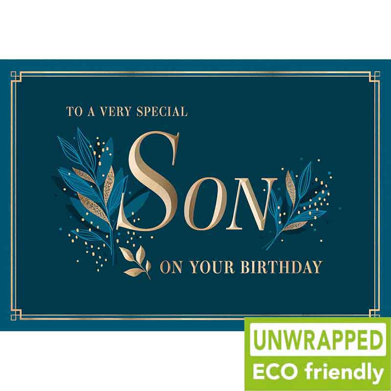 C75 NAVY LEAF SON BIRTHDAY PICCADILLY 6S