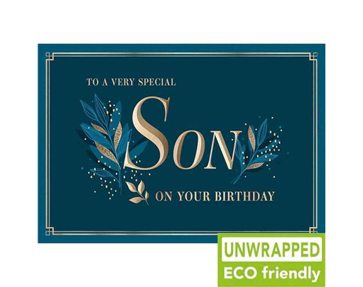 C75 NAVY LEAF SON BIRTHDAY PICCADILLY 6S