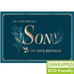 C75 NAVY LEAF SON BIRTHDAY PICCADILLY 6S
