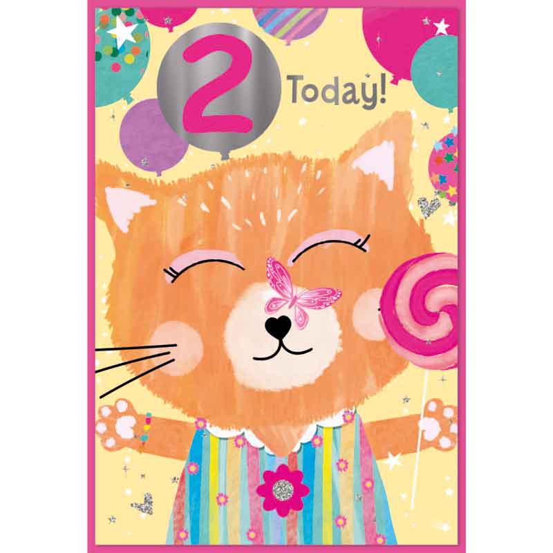 C50 2ND BIRTHDAY GIRL SIMON ELVIN 6S