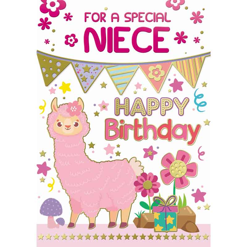 C50 NIECE BIRTHDAY SILVERLINE 12S