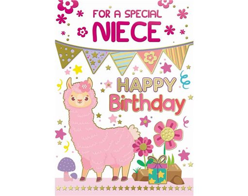 C50 NIECE BIRTHDAY SILVERLINE 12S